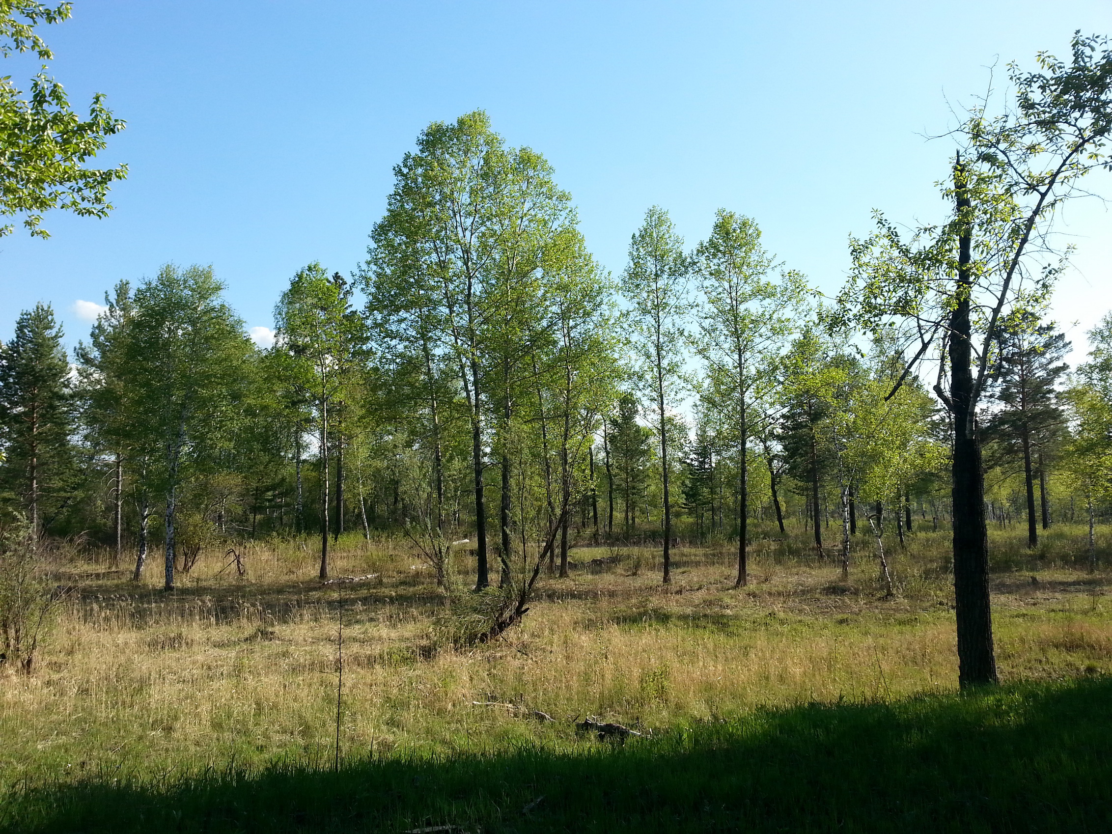 проста таг))))))