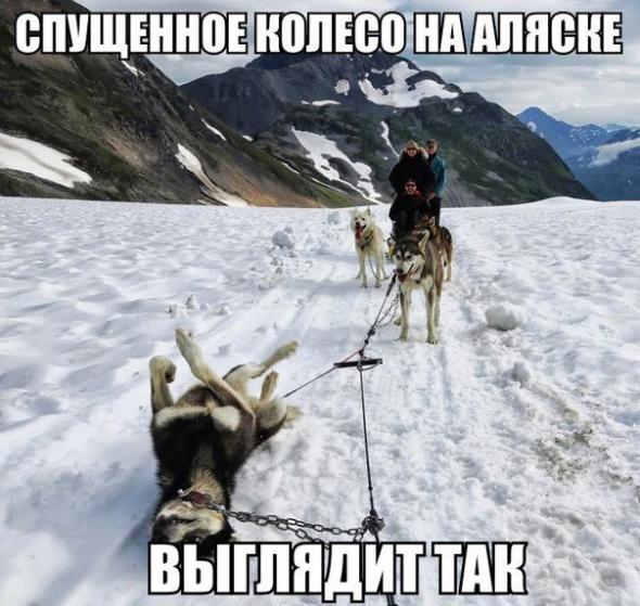 7adf757456f7d963bb792f798ce prev