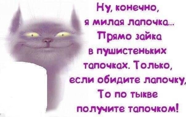 Лапочка с тапочком