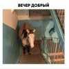 вечер добрый))))))