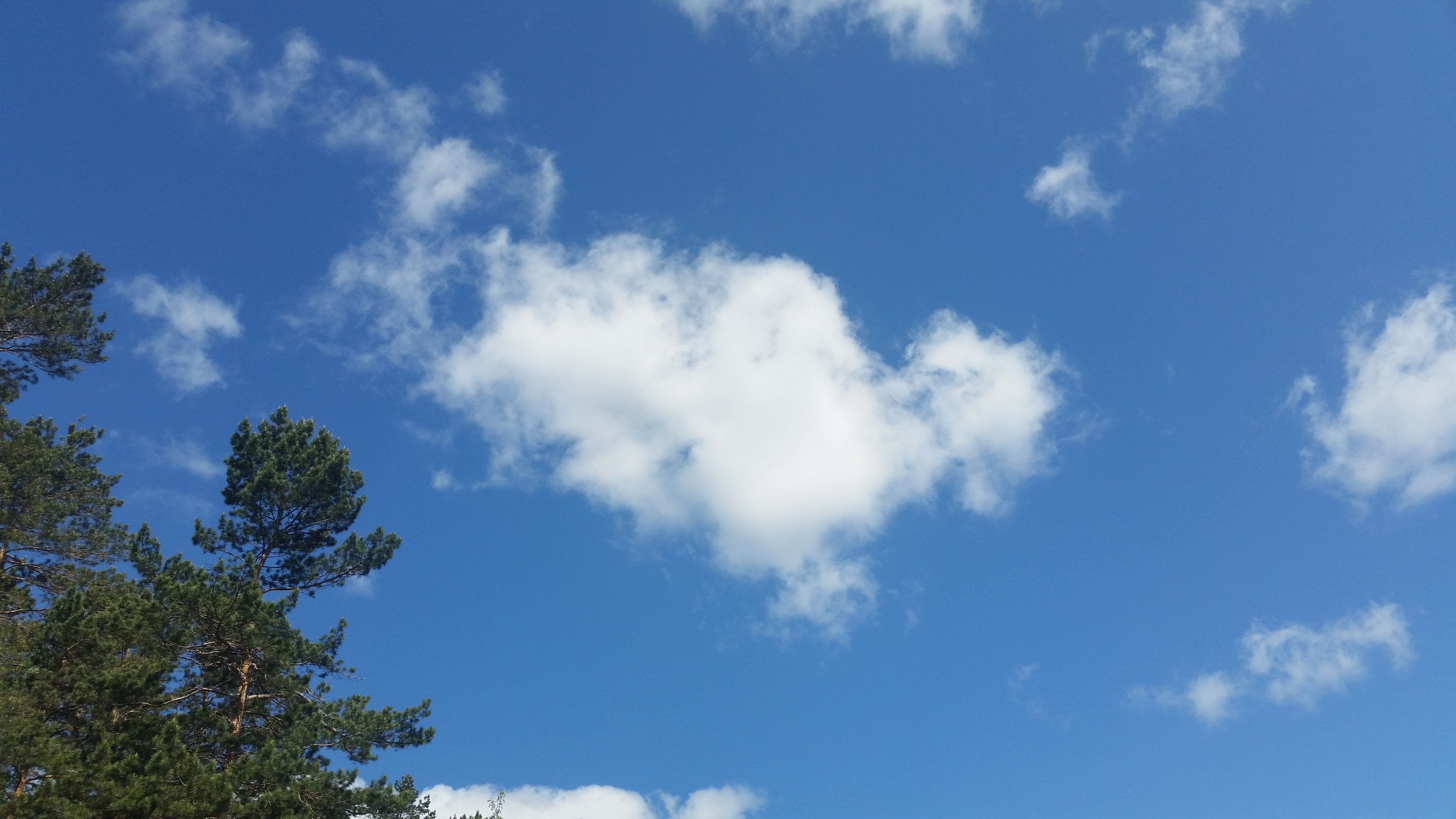 Очередные облака))))))