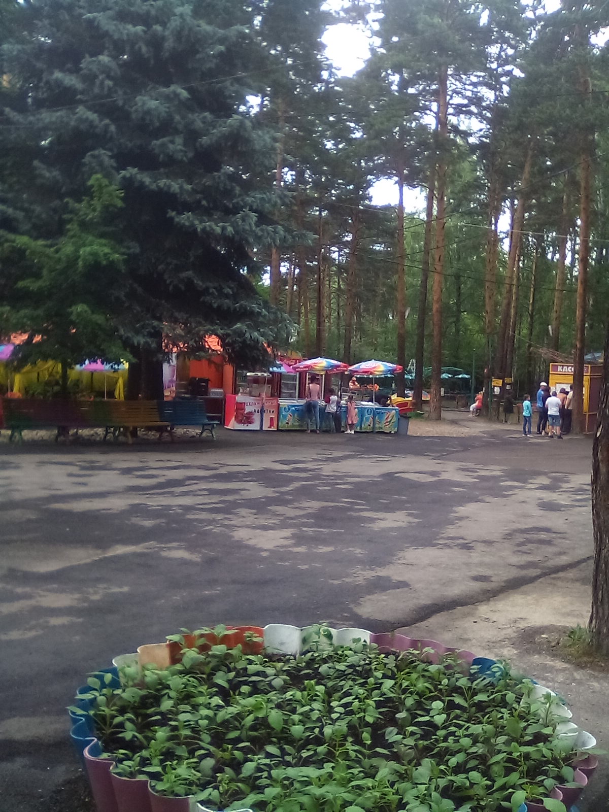 черемховский парк