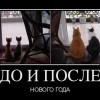 До и после НГ До и после НГ