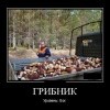 Грибник