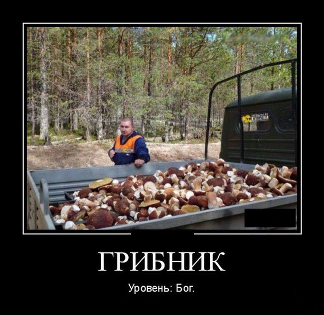 Грибник
