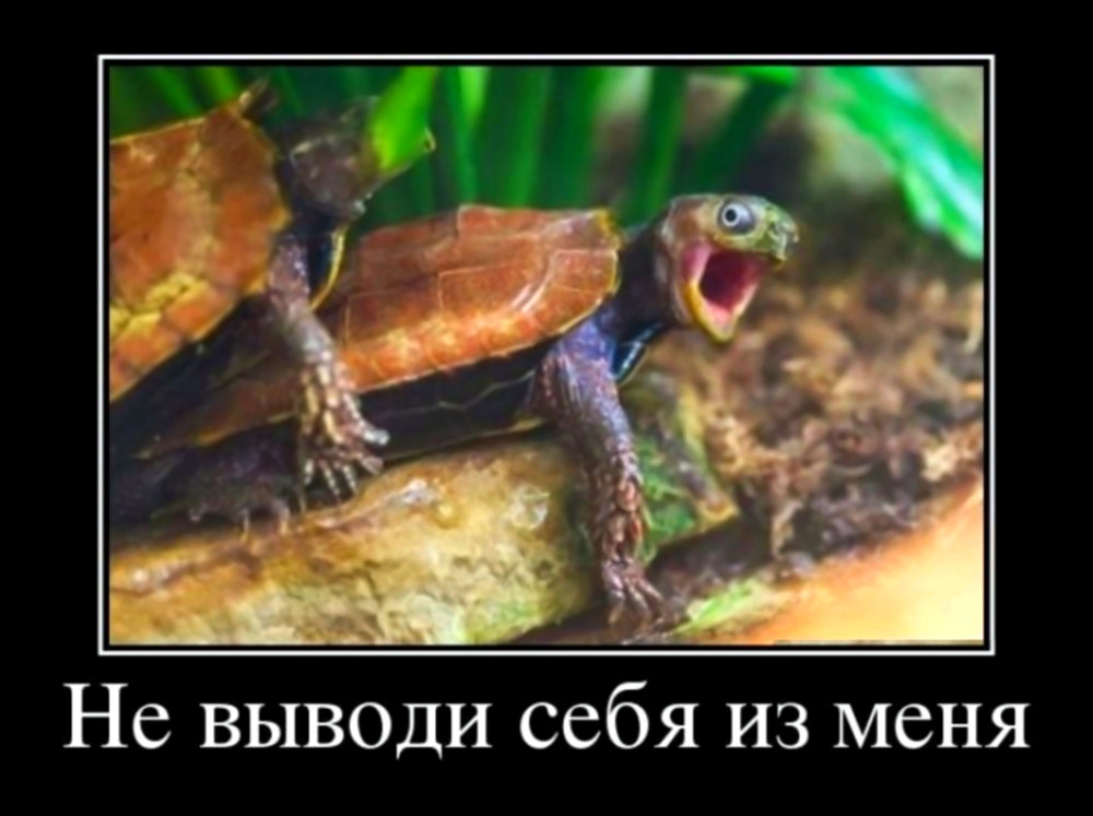 Не выводи себя,из меня...