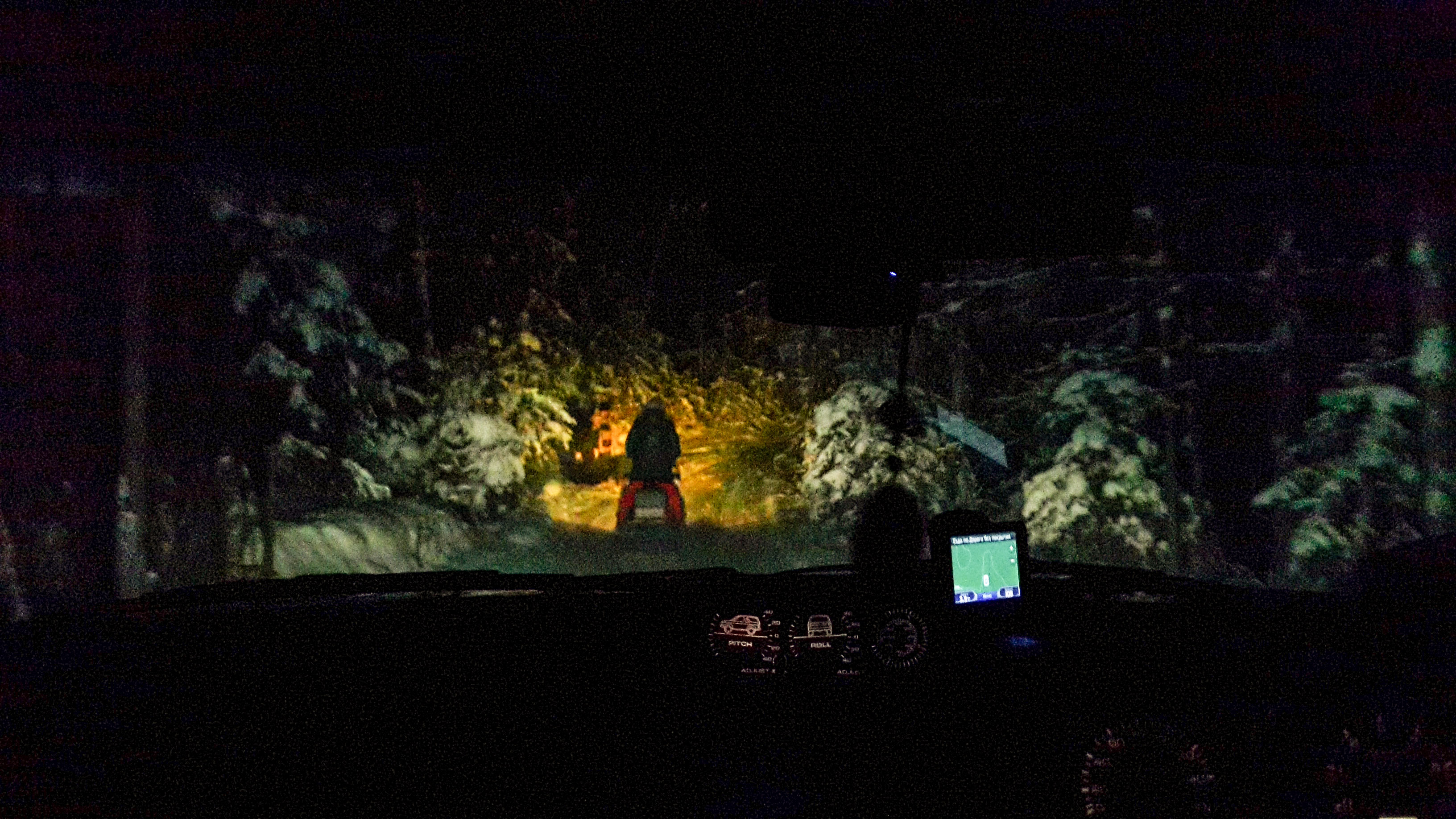 вперед, к Новому году!  