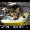 Счастья много не бывает