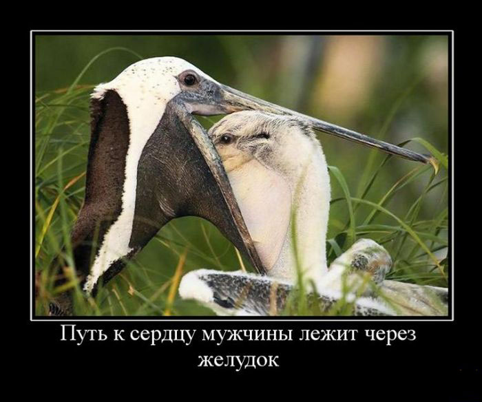 Путь к сердцу