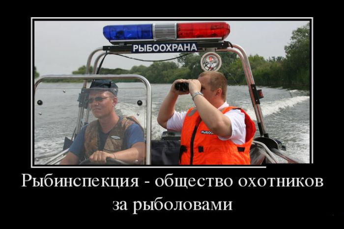 Рыбинспекция