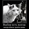 Выбор есть всегда
