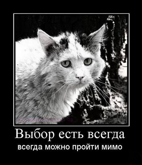 Выбор есть всегда