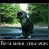 Музяка Музяка