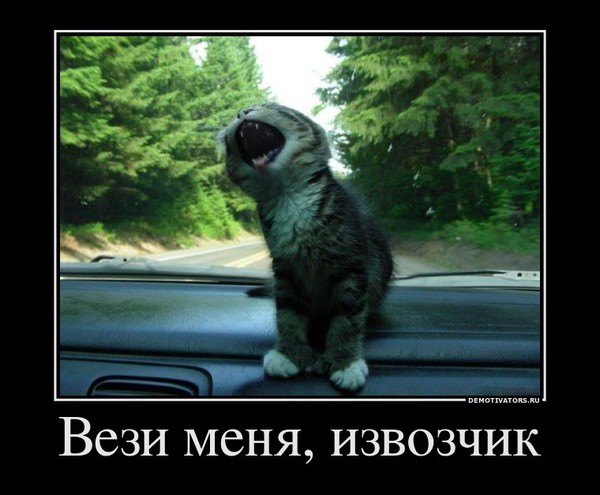 Музяка