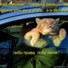 11aade83e52d1f565f533d9a58b prev