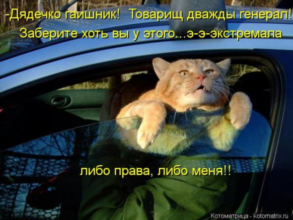 11aade83e52d1f565f533d9a58b prev