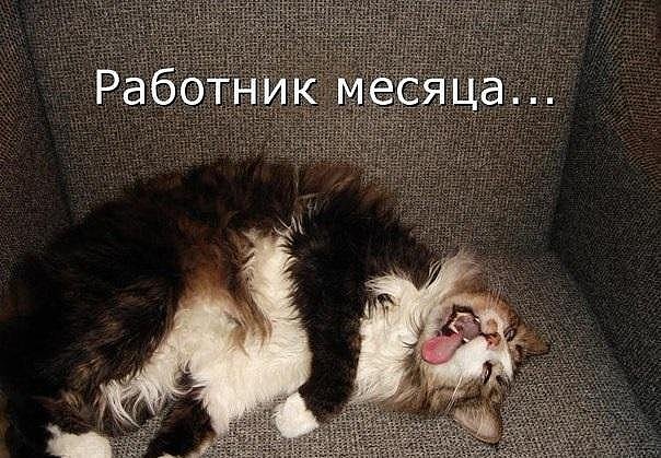 роботнег месятца)))))
