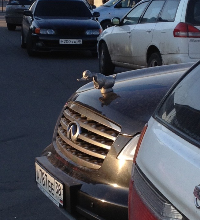 Что бы это значило?