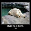 1 января...утро 1 января...утро