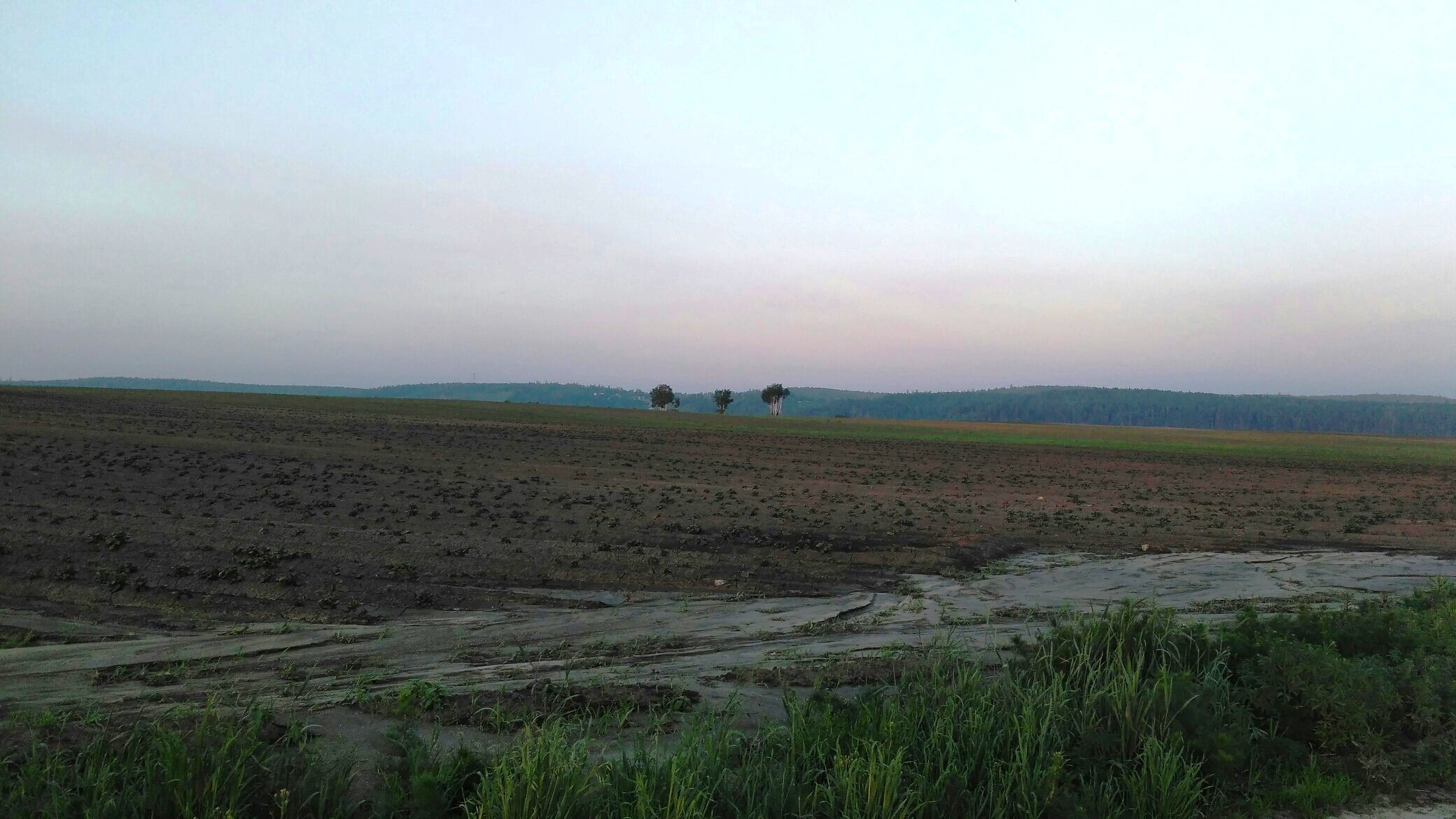 Три тополя на Плющихе