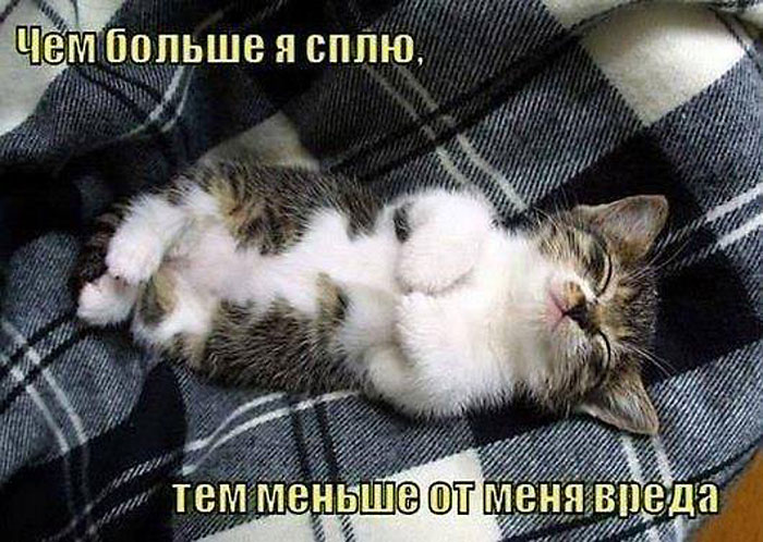 Без вреда