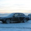 Замёрзшая ласточка