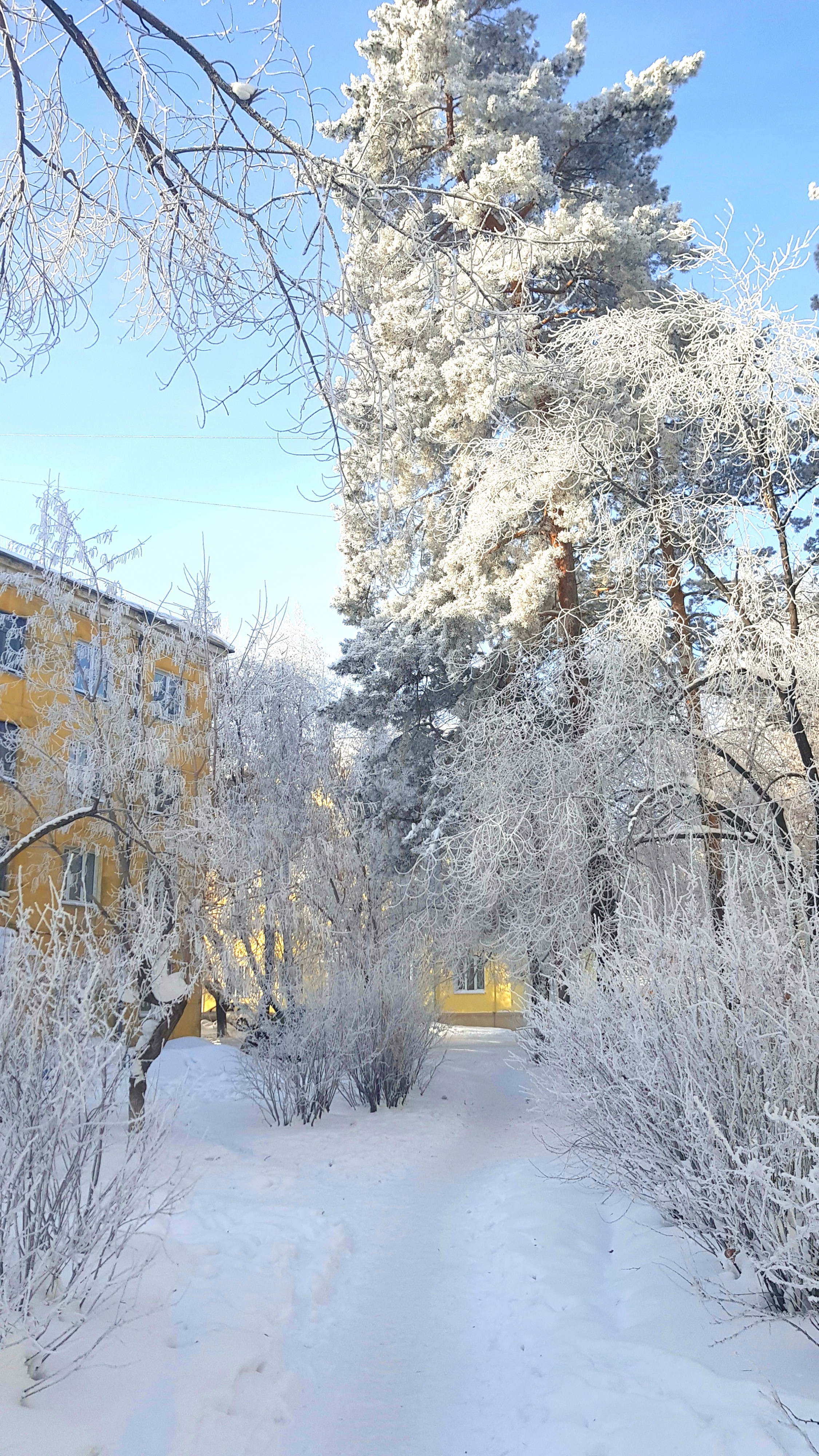 211-13 январь 2018