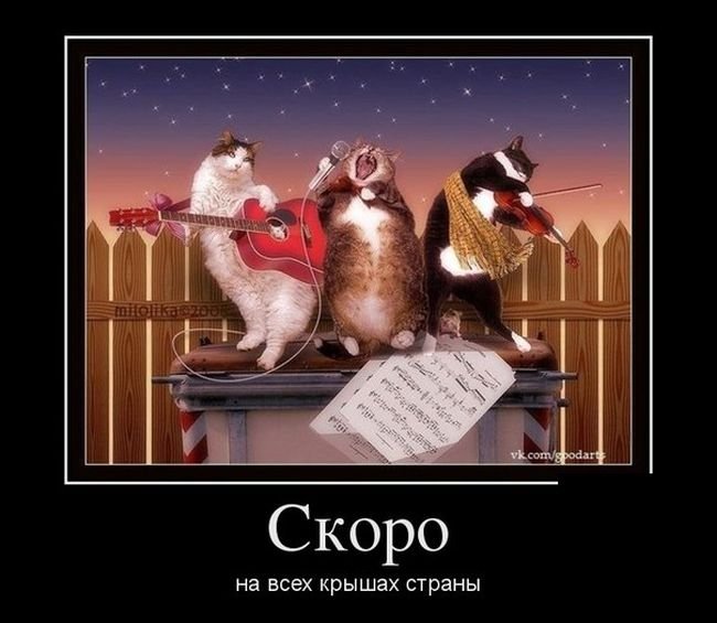 Душа поёт ))))