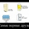 Верные друзья