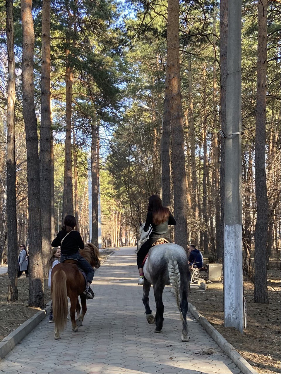 Я люблю свою лошадку, Причешу ей шёрстку гладко, Гребешком приглажу хвостик И верхом поеду в гости