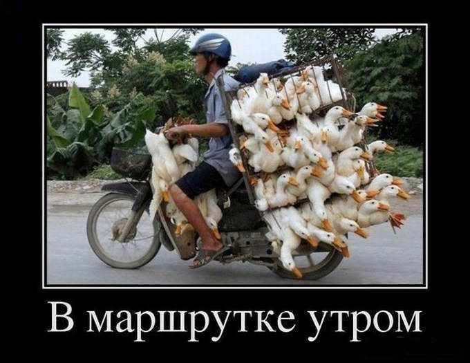 В маршрутке