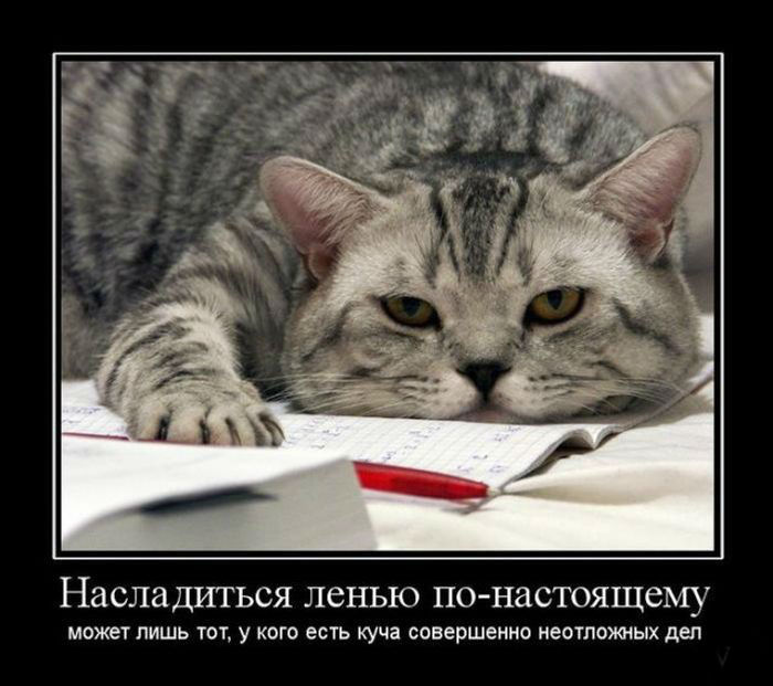 Насладиться ленью