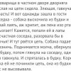 Злющая дворняга