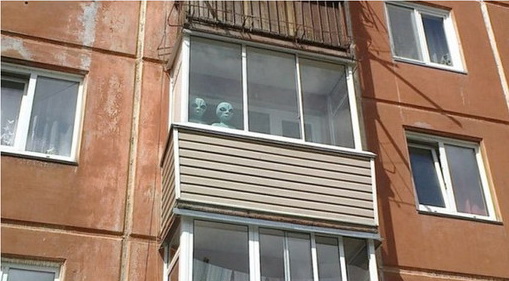 NEMO нашелся!