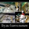 Будь бдительным Будь бдительным