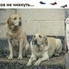 Главное не чихнуть