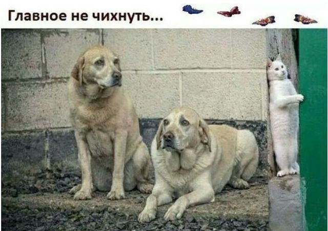 Главное не чихнуть