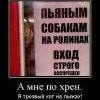 Пьяным собакам
