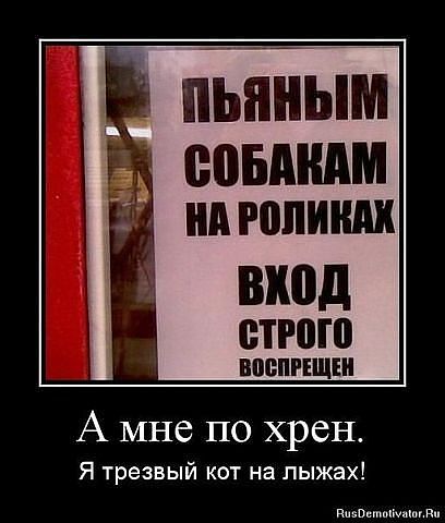Пьяным собакам