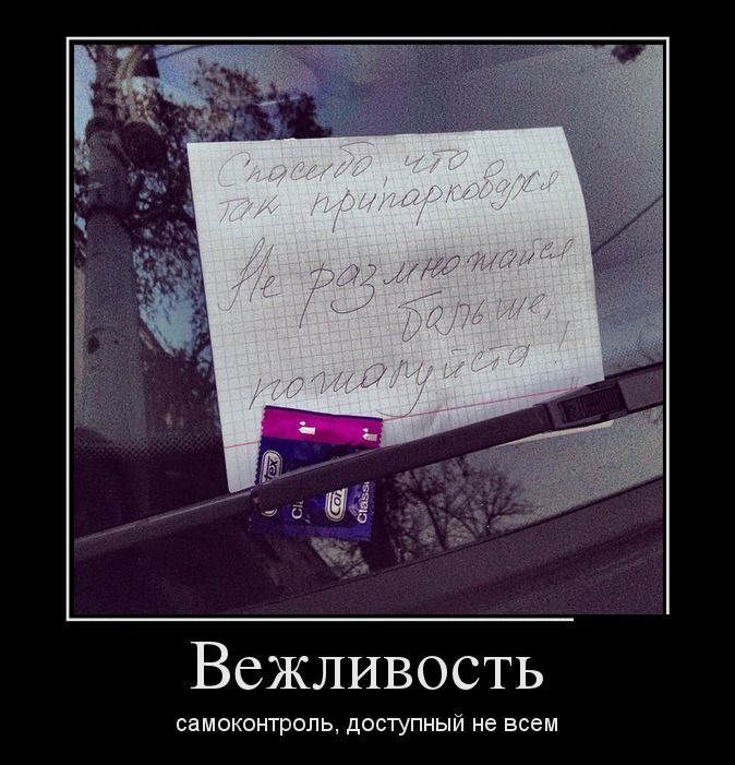 Вежливость