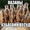 патцаны! узбагоин везуд)))))