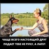 Дай лапу Дай лапу