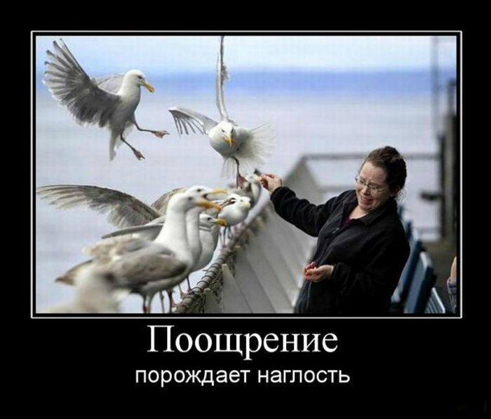 Поощрение- порождает наглость