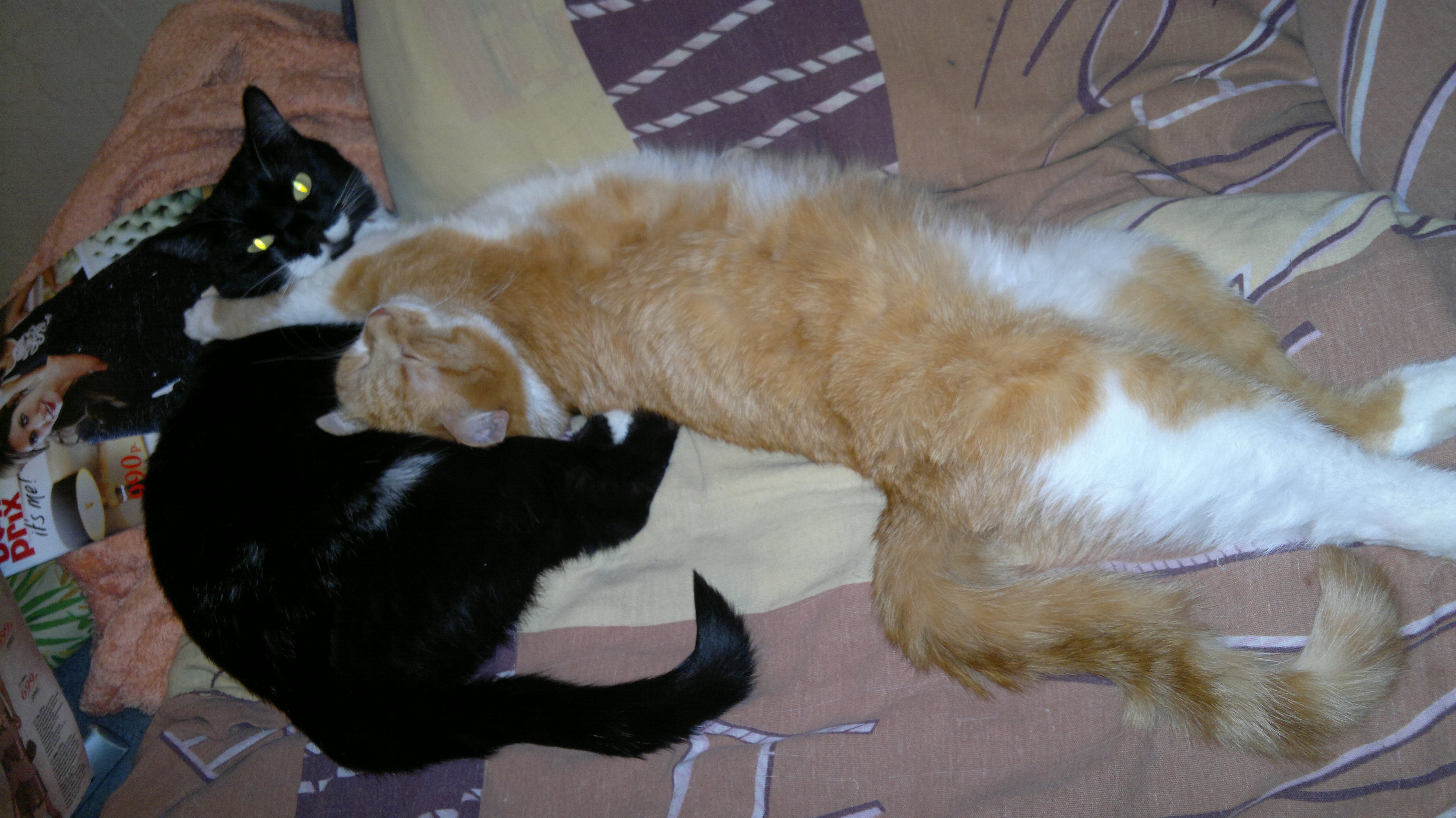 Вот так мы спим