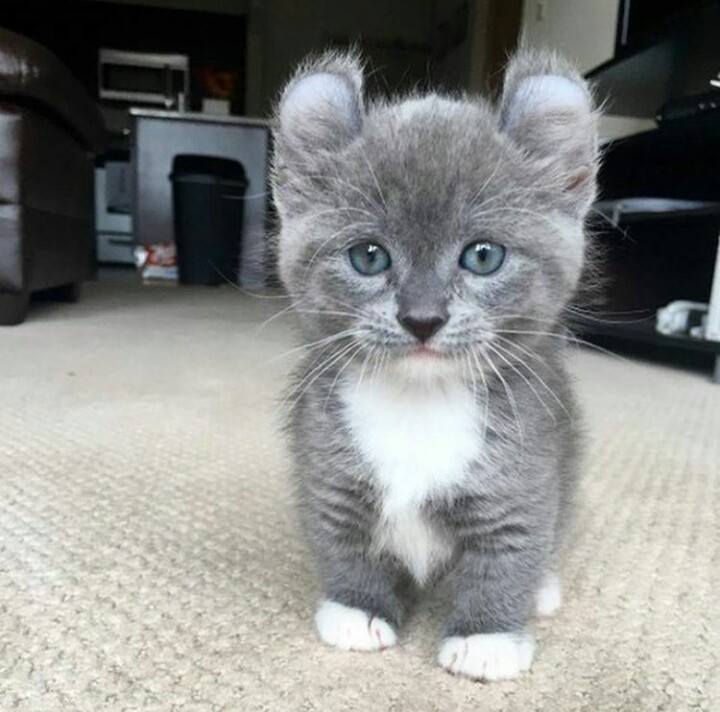 Знакомьтесь: это я! 