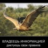 Владение информацией