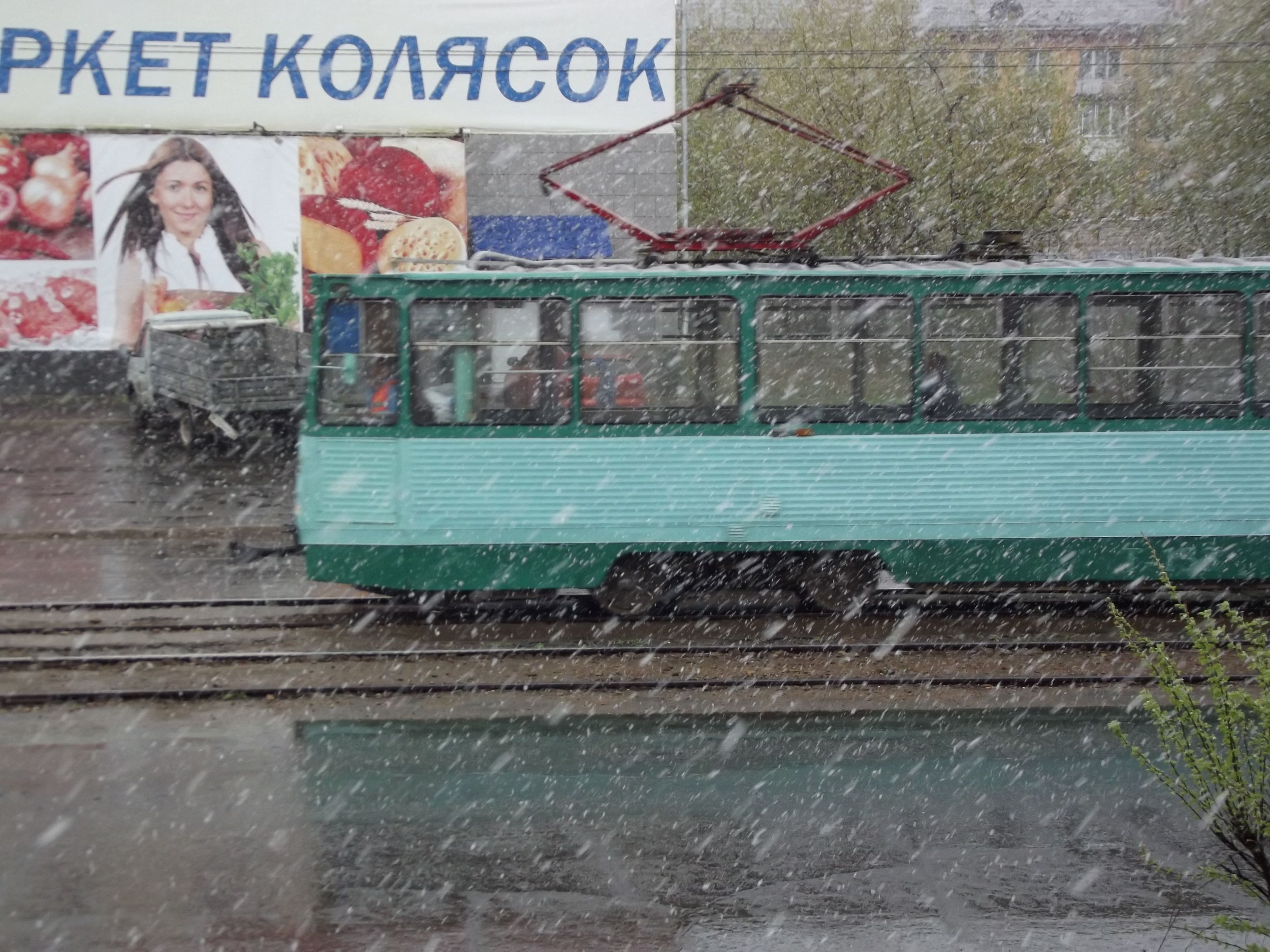 Майский снежок