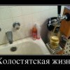 Холостяцкая жизнь Холостяцкая жизнь
