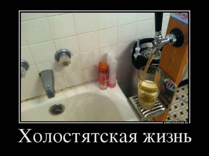 Холостяцкая жизнь