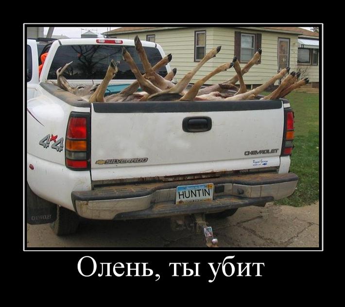 Олень ты убит